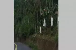 Tak kalah ngeri dari film horor, 11 potret benda dikira penampakan seram ini bisa bikin jantungan