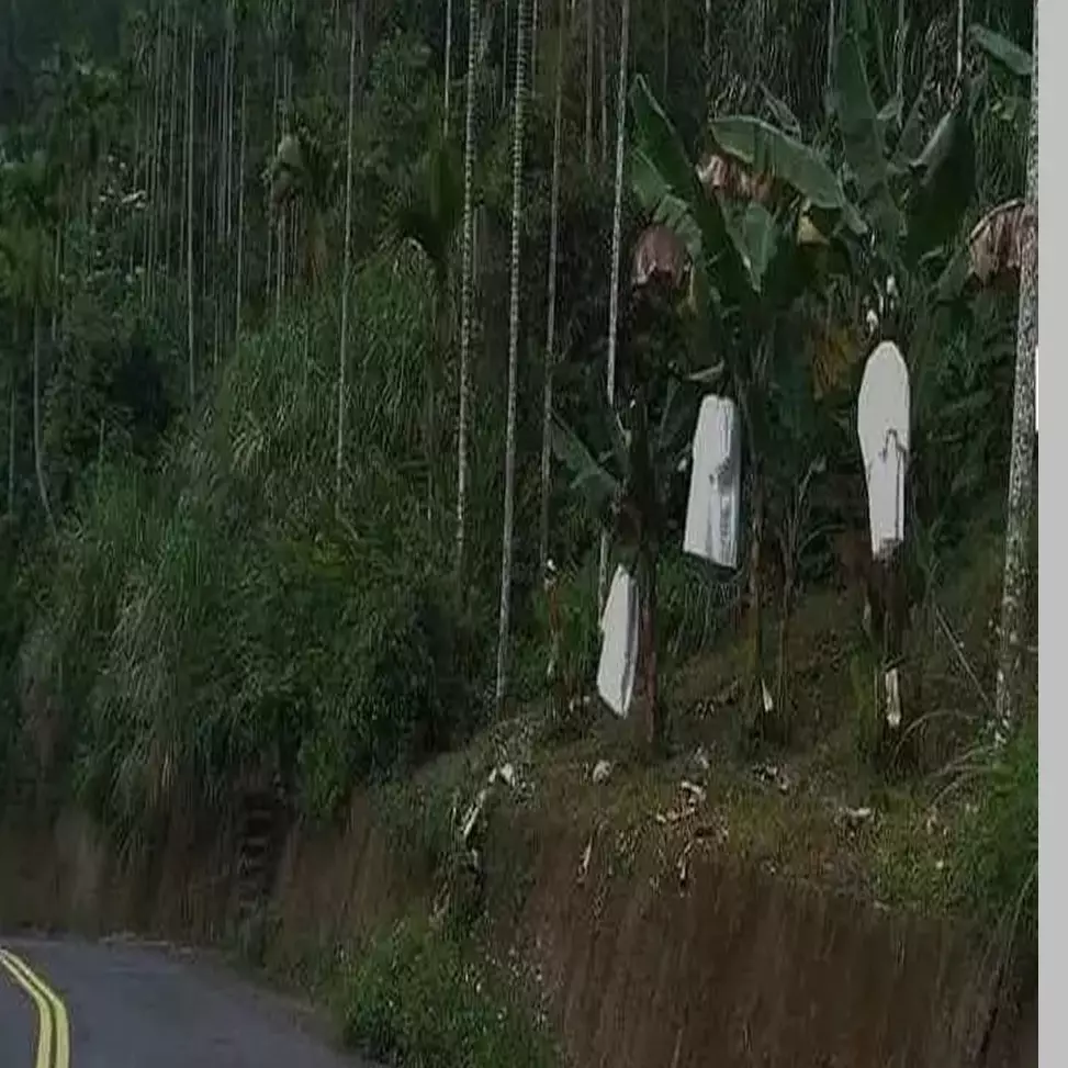 Tak kalah ngeri dari film horor, 11 potret benda dikira penampakan seram ini bisa bikin jantungan