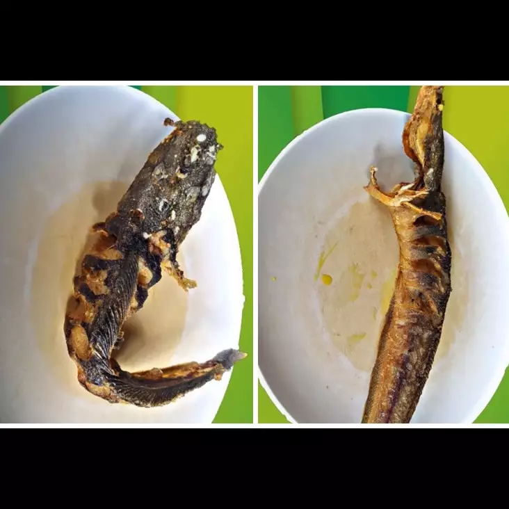 Tanpa tepung, begini cara jitu goreng lele agar tidak meletup dan tetap lurus