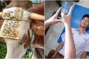 Antiribet, 13 cara nggak biasa orang atasi masalah ini idenya bikin senyum kecut