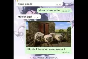 11 Chat lucu penjual nge-prank pembeli ini isengnya bikin kesel pol