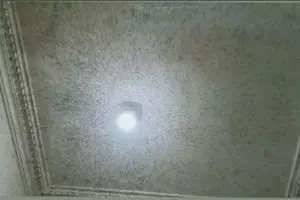 Plafon rumah ini jadi sarang gerombolan nyamuk, penampakannya bikin bulu kuduk merinding