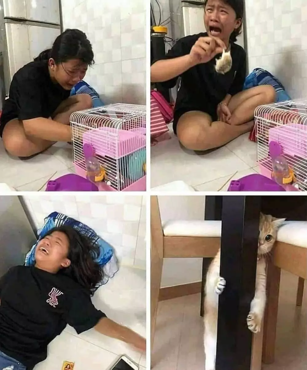 momen orang ngambek © Berbagai sumber