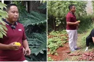 Dari komedian banting stir jadi petani, ini 11 potret kebun sayur milik Narji