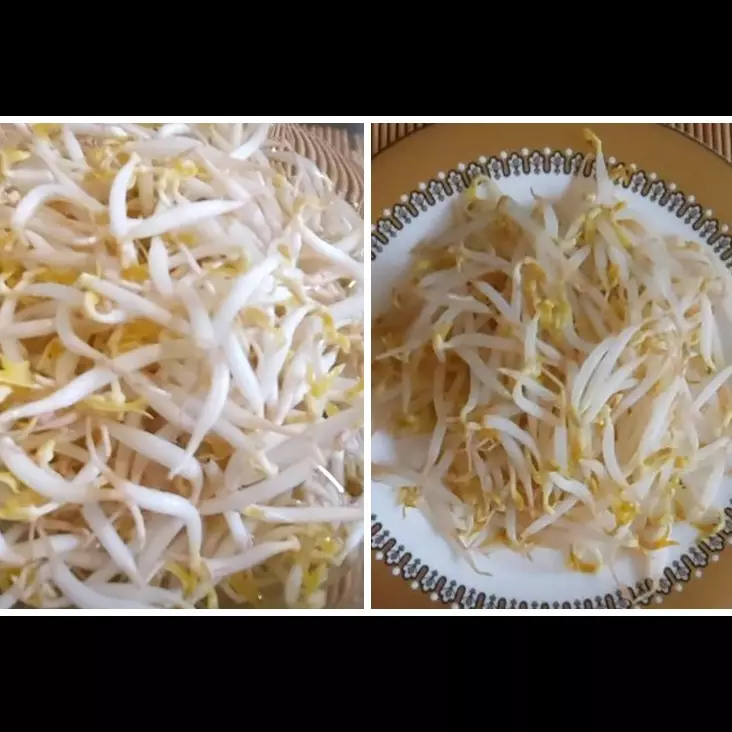 Tanpa bahan tambahan, ini cara merebus tauge agar tetap segar dan renyah