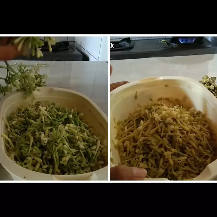 Trik merebus bunga pepaya ini efektif hilangkan rasa pahit