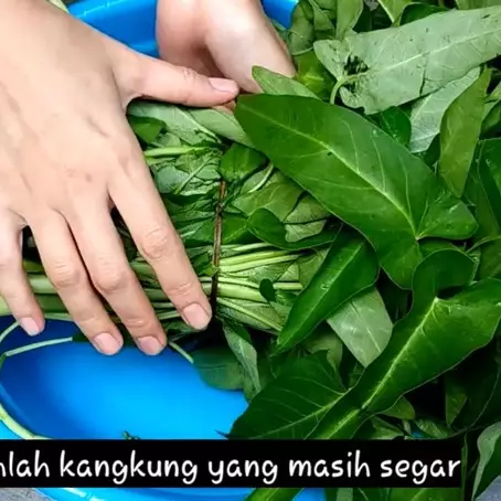 Trik sederhana membersihkan kangkung ini ampuh basmi kotoran, serangga, dan bakteri