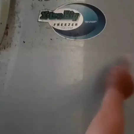 Cara membersihkan jamur di pintu kulkas, kinclong cuma pakai satu bahan tanpa disikat