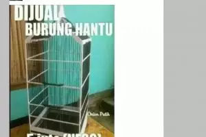 10 Lelucon receh bapak-bapak di grup WhatsApp, garing tapi bikin nggak bisa nahan tawa
