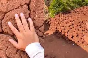 Masjid ini 5 bulan sekali roboh karena dibuat dari tanah liat, intip potretnya yang bikin takjub