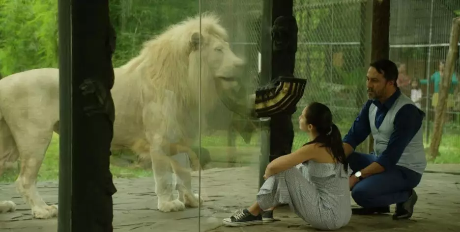 Fakta menarik Katrsis © Vidio