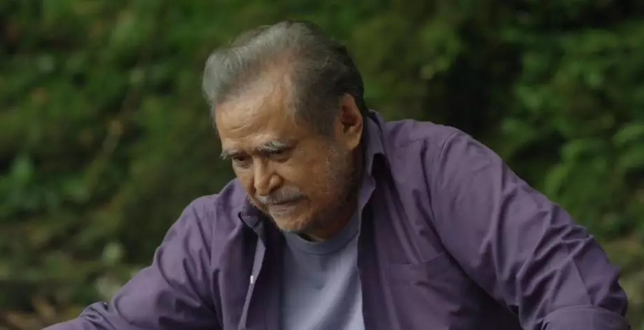 Fakta menarik Katrsis © Vidio