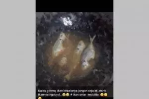 11 Status whatsapp lucu ibu-ibu pamer makanan, lucunya nggak ada duanya 