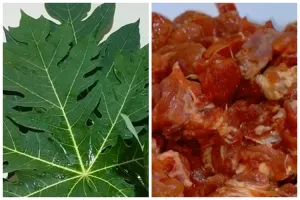 Cara marinasi daging pakai daun pepaya, auto empuk dalam 30 menit