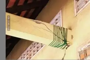 Ogah repot, 11 momen bapak-bapak benerin kerusakan rumah pakai benda seadanya ini kocak