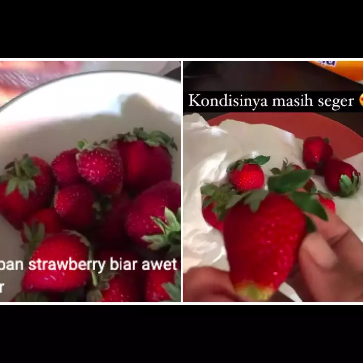 Tak perlu dimasukkan ke freezer, ini cara menyimpan stroberi agar tetap segar tahan lama