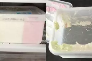 11 Momen apes ketipu sama makanan, mohon bersabar ini semua ujian