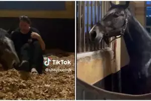 Aksi viral wanita datangkan kuda dari Jerman ke Indonesia, netizen penasaran biaya transportasinya