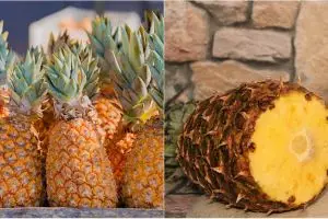 7 Manfaat buah nanas untuk kolesterol, kandungan serat tinggi bikin sehat secara alami