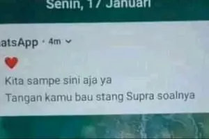 Alasannya nyeleneh abis, 13 chat lucu putusin pacar ini bikin geleng kepala nggak habis pikir