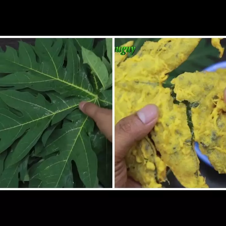 Tanpa direbus pakai tanah liat, ini cara bikin keripik daun pepaya agar tidak pahit, enak, dan renyah