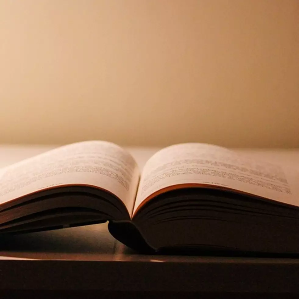 65 Contoh kata istilah beserta arti, ciri dan fungsinya yang mudah dipahami