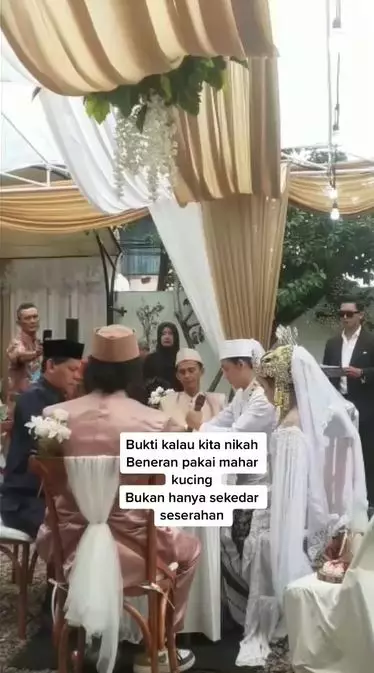 Pernikahan Mahar kucing TikTok Pernikahan Mahar kucing TikTok