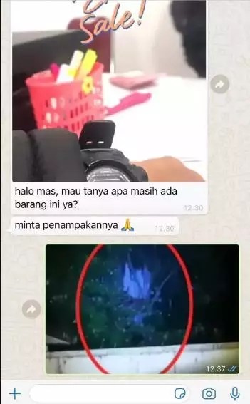 Chat lucu kirim foto pas transaksi jual beli online Berbagai sumber