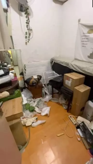 Gudang tak terawat ini disulap jadi kamar estetik TikTok