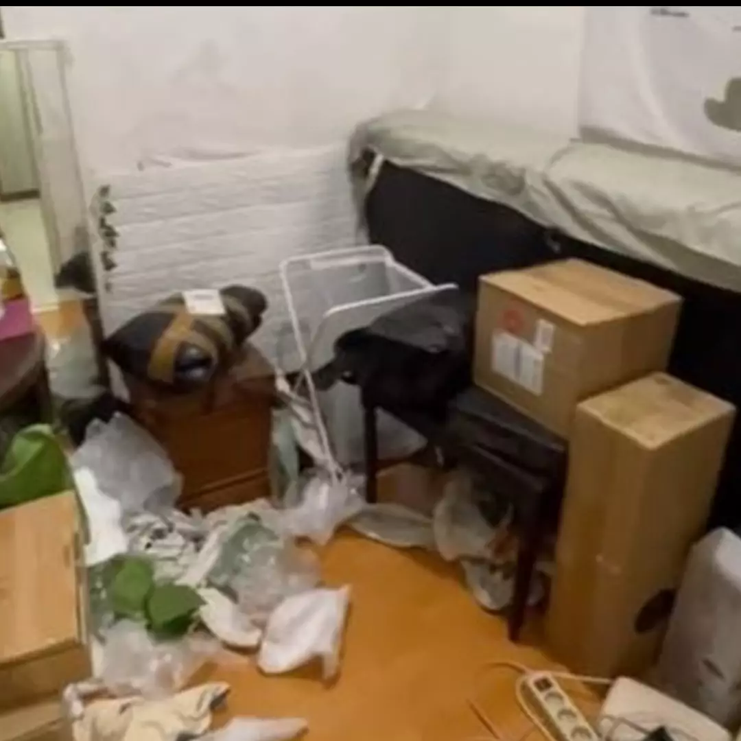 Gudang tak terawat ini disulap jadi kamar estetik, tembok lembap berubah jadi bak baru