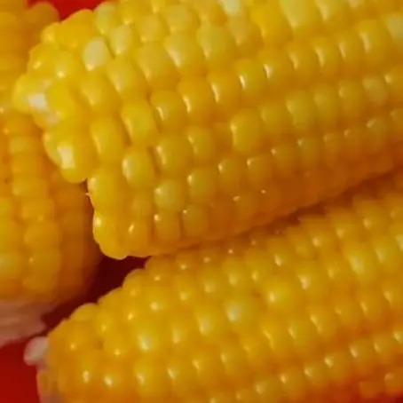 Pakai 2 bahan dapur, ini trik merebus jagung agar hasilnya manis dan tidak kecut saat sudah dingin