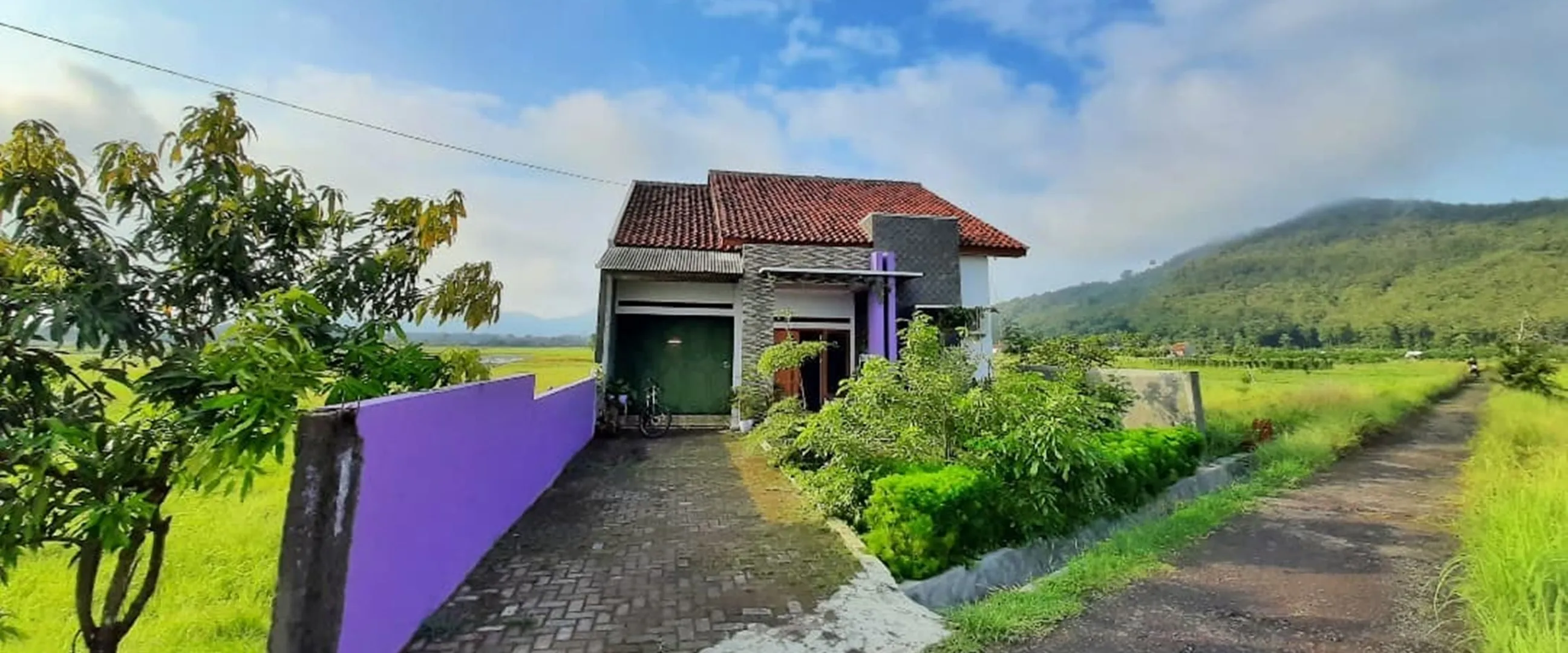 11 Potret rumah tengah sawah di makeover jadi hunian serba ungu, nggak norak dan bikin betah