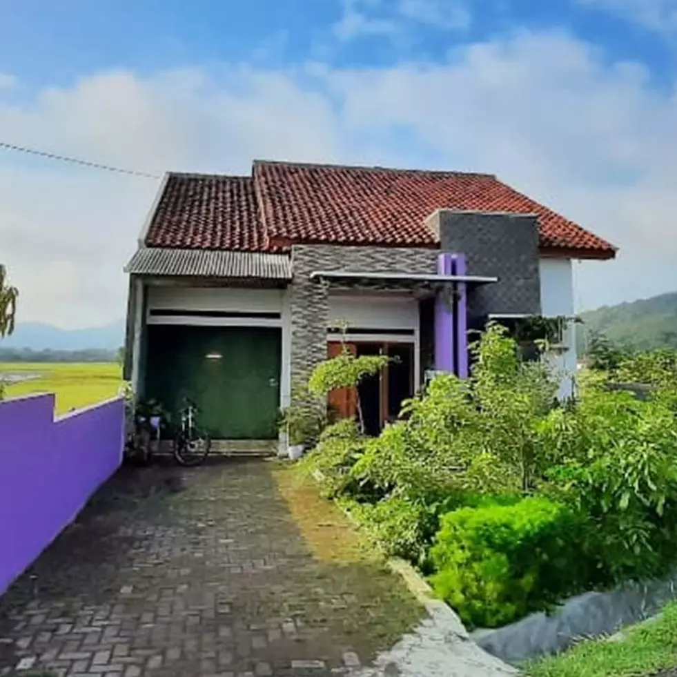 11 Potret rumah tengah sawah di makeover jadi hunian serba ungu, nggak norak dan bikin betah