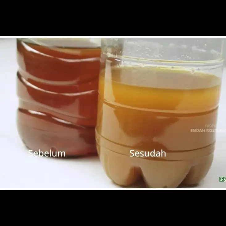 Bukan pisang, ini cara menjernihkan minyak goreng jelantah pakai satu buah yang dikenal menyehatkan