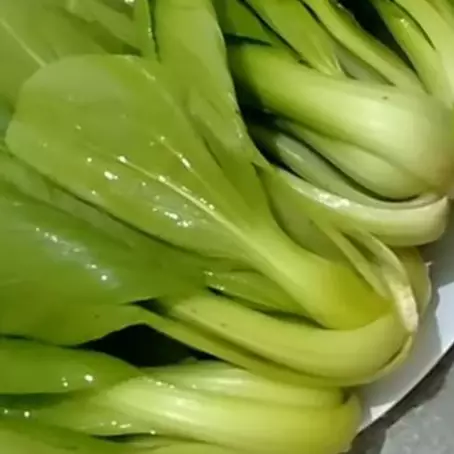 Tanpa direndam air, ini cara menyimpan pakcoy agar awet berminggu-minggu