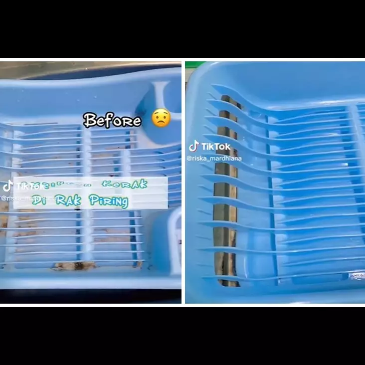 Cuma 5 menit dan tanpa disikat, ini cara cepat membersihkan noda lumut di rak piring plastik
