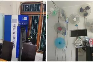 11 Potret nyeleneh mempercantik hunian ini idenya bikin geleng kepala, pohon pepaya di dalam rumah