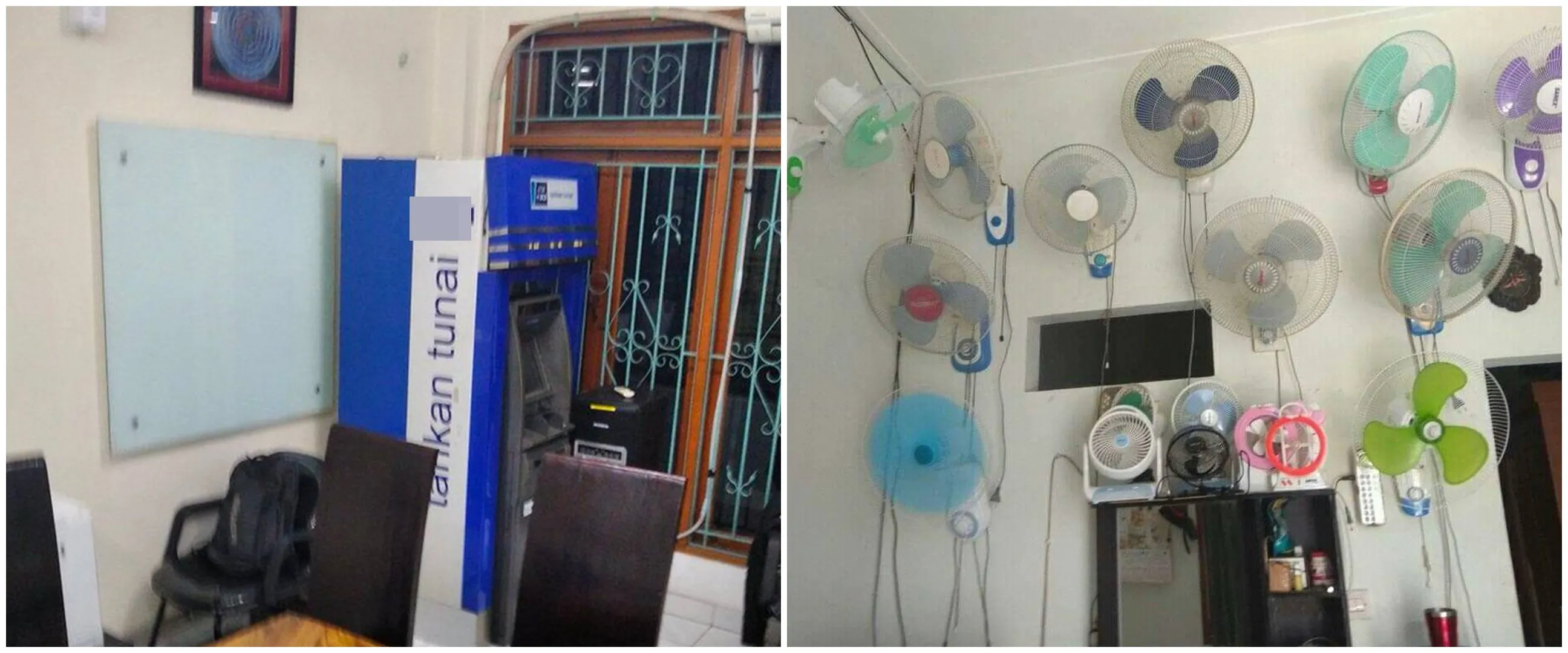 11 Potret nyeleneh mempercantik hunian ini idenya bikin geleng kepala, pohon pepaya di dalam rumah