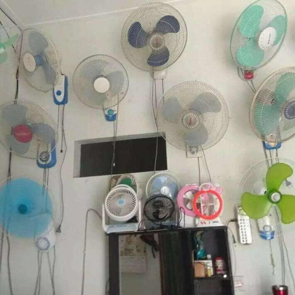 11 Potret nyeleneh mempercantik hunian ini idenya bikin geleng kepala, pohon pepaya di dalam rumah