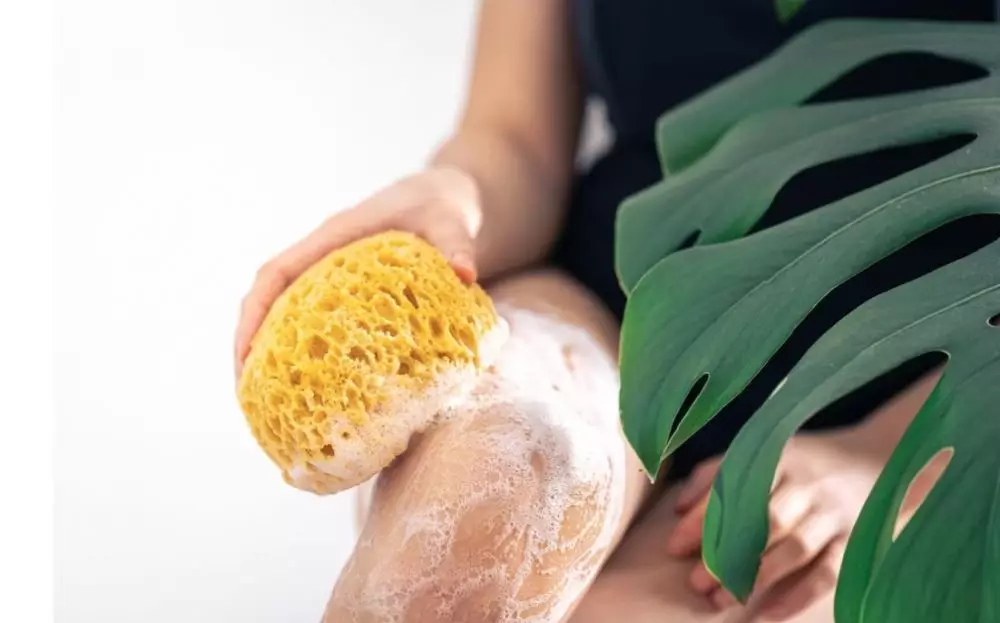 cara merawat strawberry skin © 2023 berbagai sumber cara merawat strawberry skin © 2023 berbagai sumber