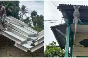 Nyeleneh abis, 11 penampakan lucu di atap rumah ini bikin gagal fokus