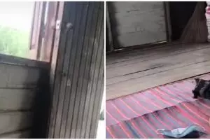 Makeover gubuk kayu di kebun jadi hunian Instagramable bak villa estetik, berasa seperti staycation