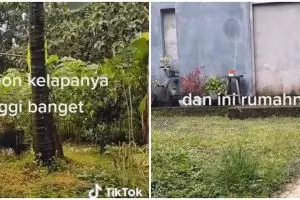 Beda dari lainnya, rumah dengan dinding setinggi pohon kelapa ini bikin bingung lihatnya