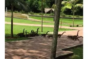 Saking miripnya, 15 benda susah dibedakan ini bikin bingung sendiri lihatnya