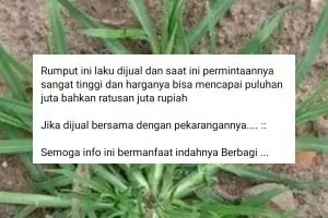 Kamu harus tahu, 15 status 'sekadar info' di Facebook ini isinya bikin pengin garuk tembok