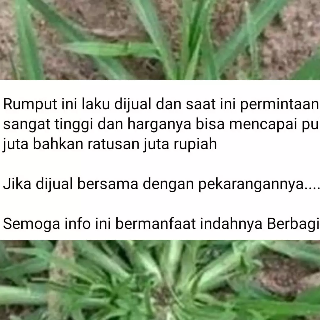 Kamu harus tahu, 15 status 'sekadar info' di Facebook ini isinya bikin pengin garuk tembok