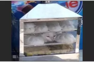 13 Penampakan isi gerobak pedagang kaki lima ini kocak tapi nyeleneh