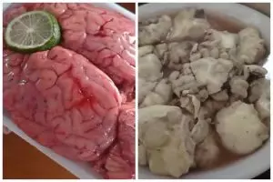 Cara mencuci dan mengolah otak sapi sebelum dimasak agar tidak mudah hancur
