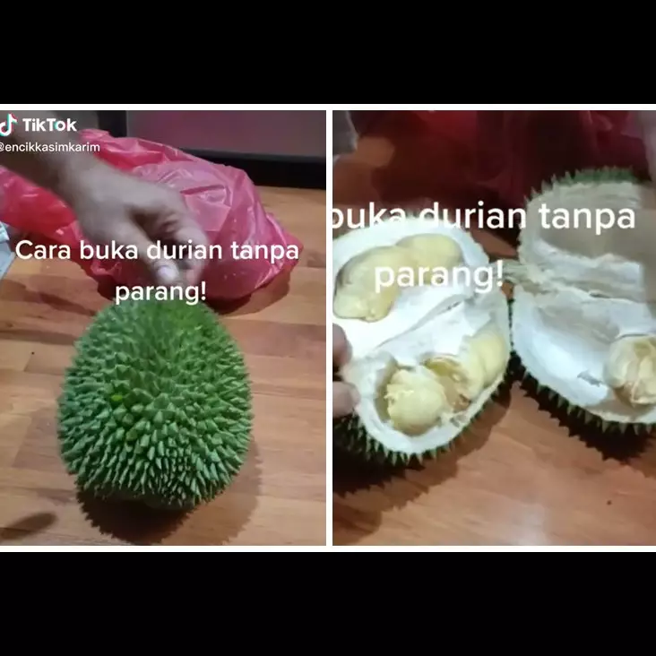 Tanpa menggunakan pisau, begini cara cepat membuka durian pakai satu alat dapur