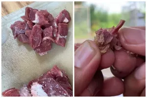 Tanpa presto, begini trik mengempukkan daging cuma pakai satu rempah dapur